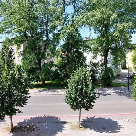 Cozy, Bright And Affordable W/ Free Parking Apartment