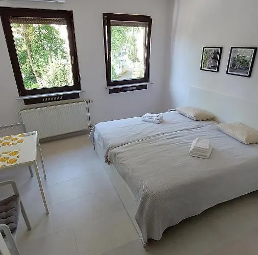 Cozy, Bright And Affordable W/ Free Parking *