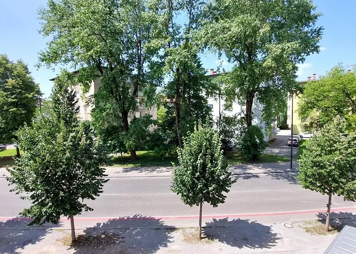 Cozy, Bright And Affordable W/ Free Parking Appartamento